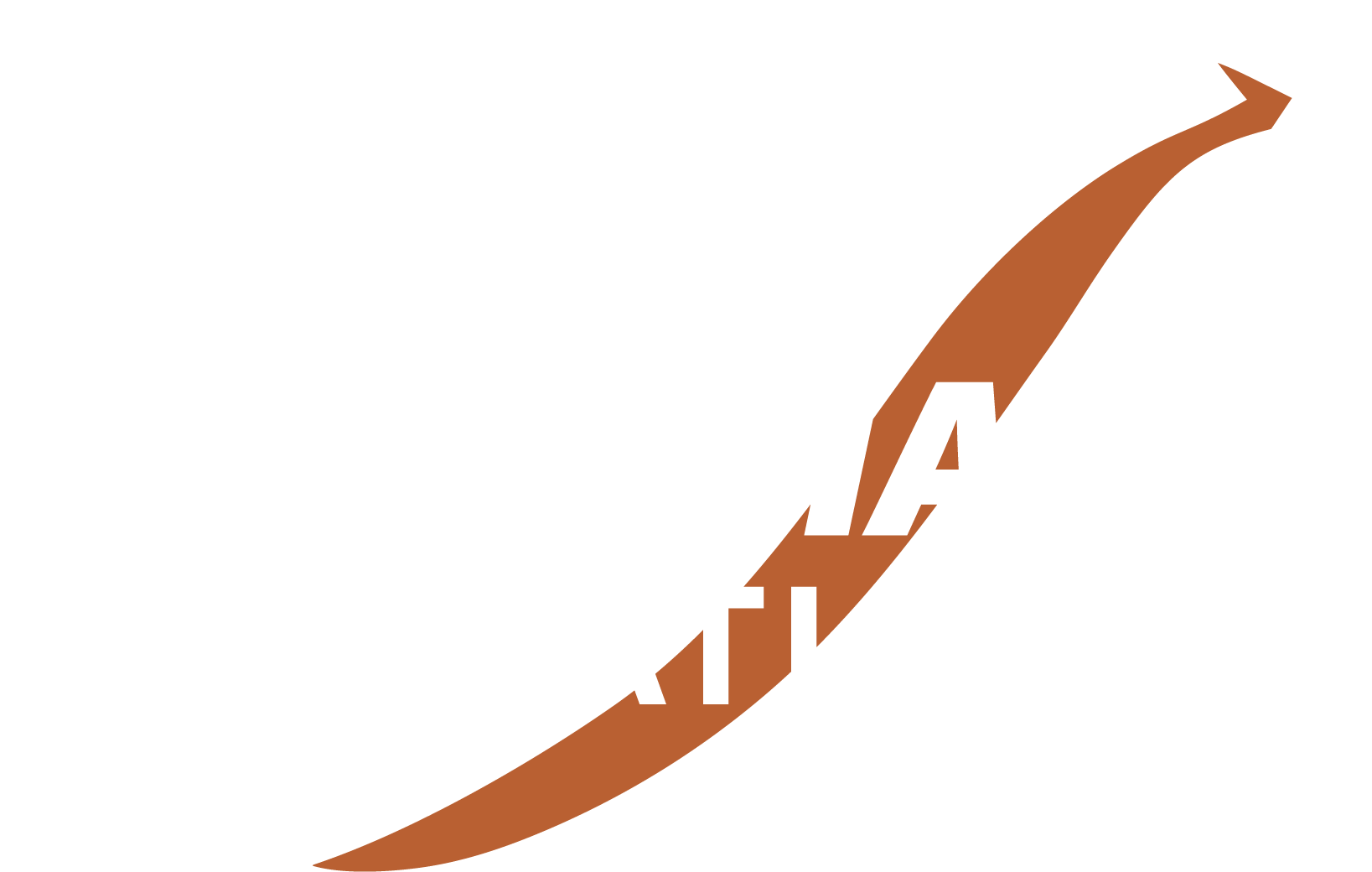 Stormhawk Aviation Logo
